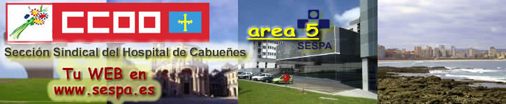 Secci�n Sindical de CC.OO. en el Hospital de Cabue�es (�rea V del SESPA)