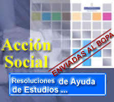 AYUDAS DE ESTUDIO 2008