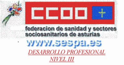 DESARROLLO PROFESIONAL NIVEL III